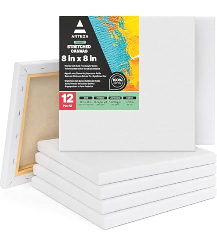 Amazon.com: ARTEZA Premium Stretched Canvas, 11 x 14 Inches, Pack